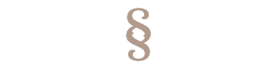 Skinsimply Icon 2025